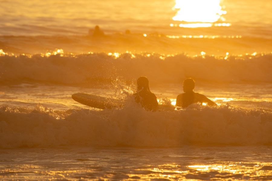 Two friends sitting out in the water together at sunrise