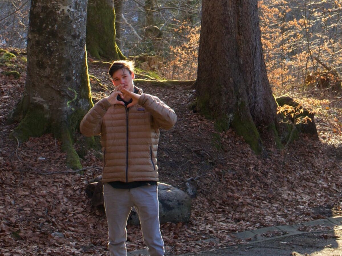A person standing among tall trees in a Tahoe forest, making a heart shape with their hands